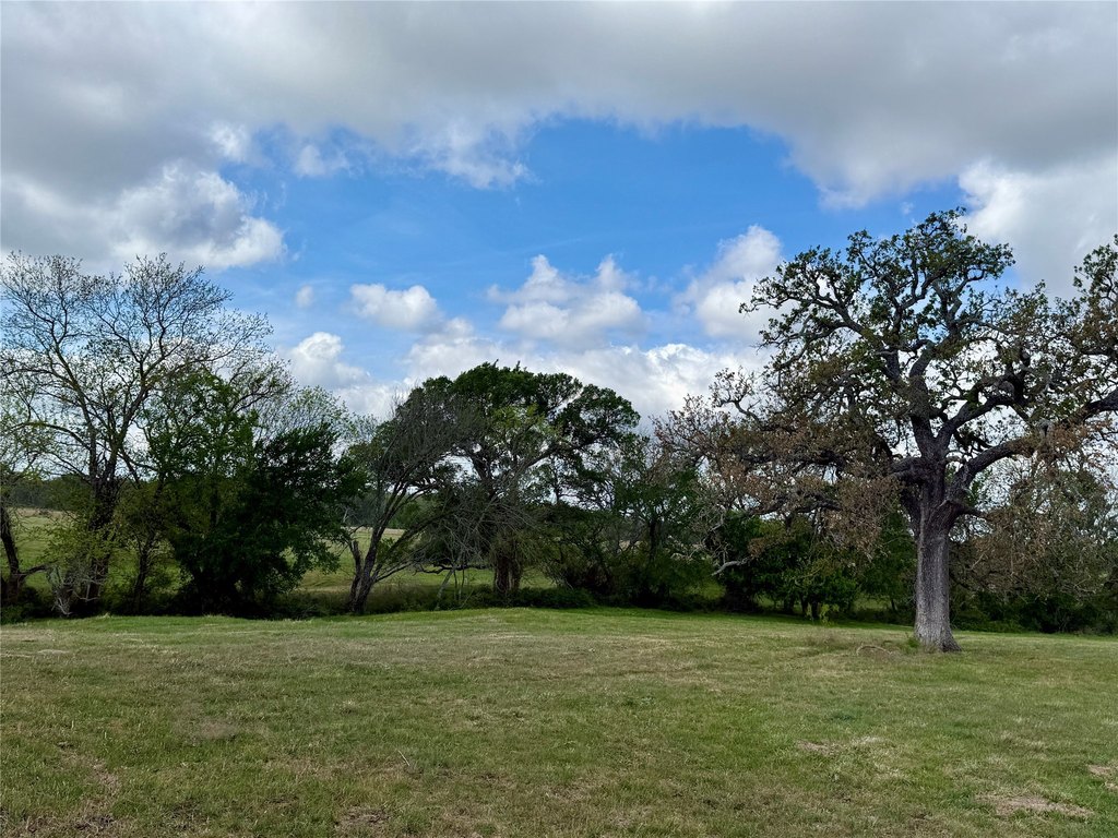 Picture 32