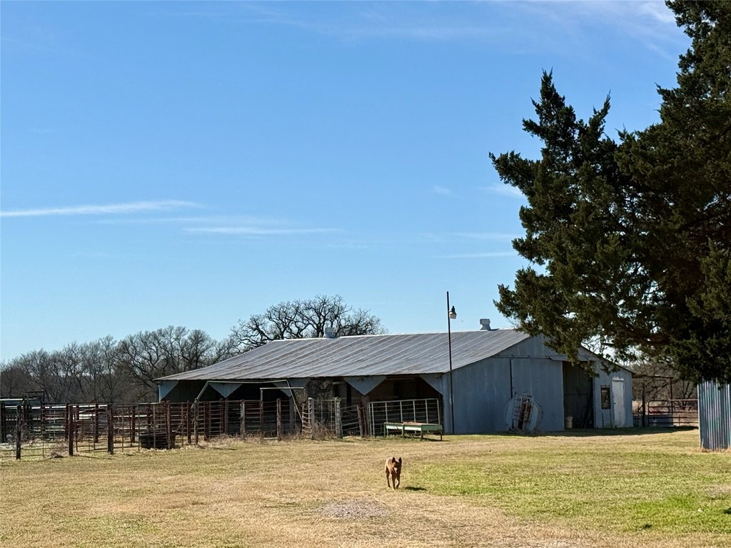 Picture 18