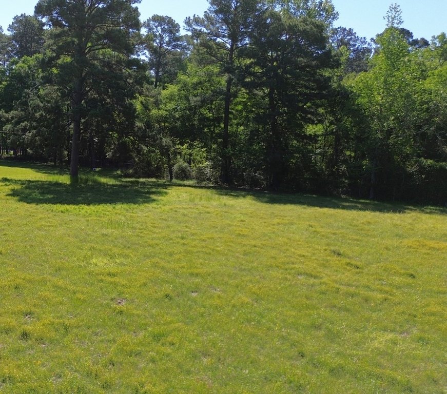 Picture 4