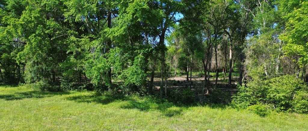 Picture 5