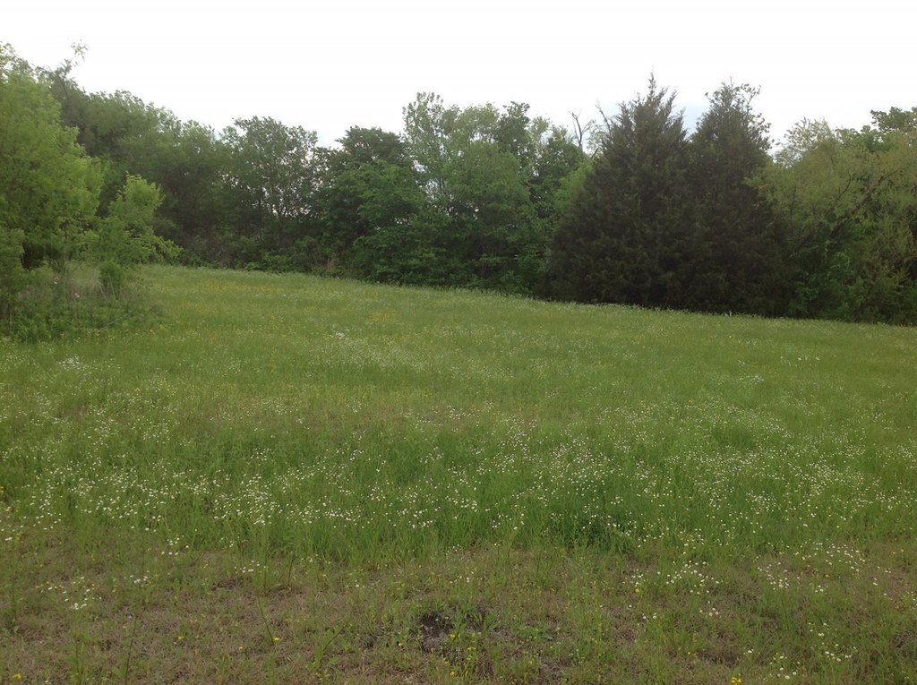 Picture 21