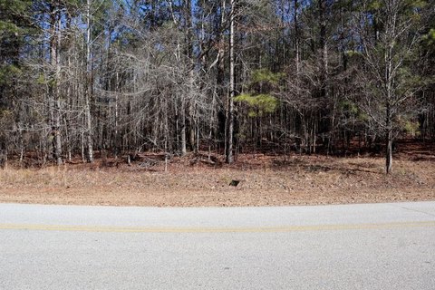 Wooded Lot Near Lake Sinclair