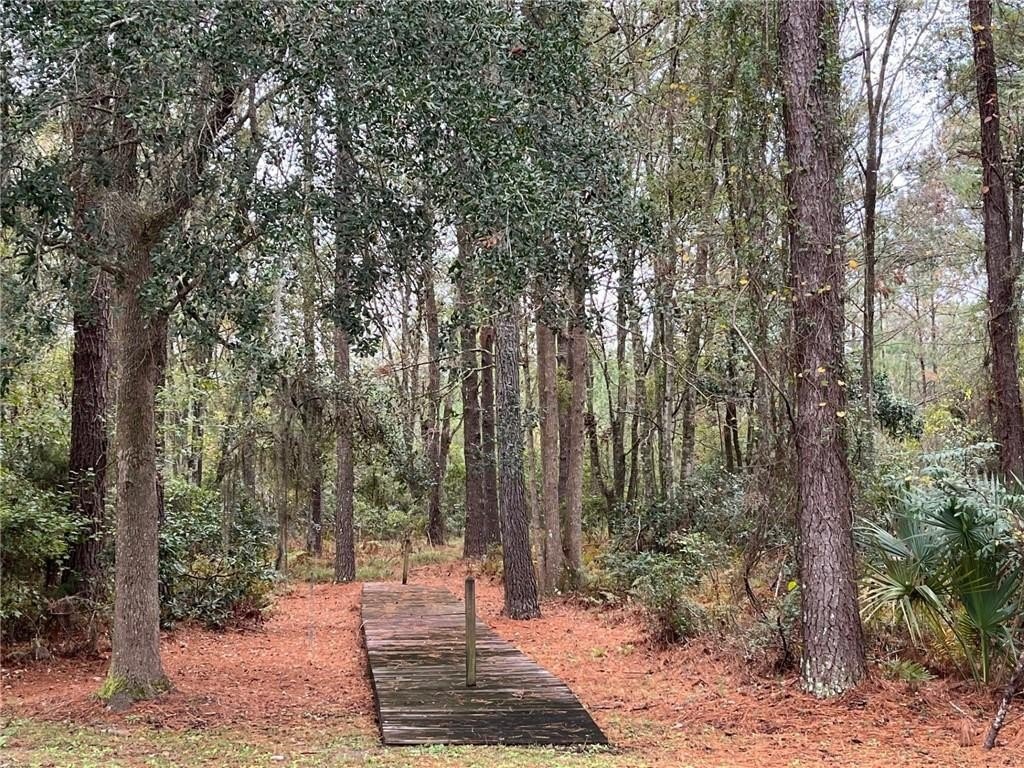 Picture 16