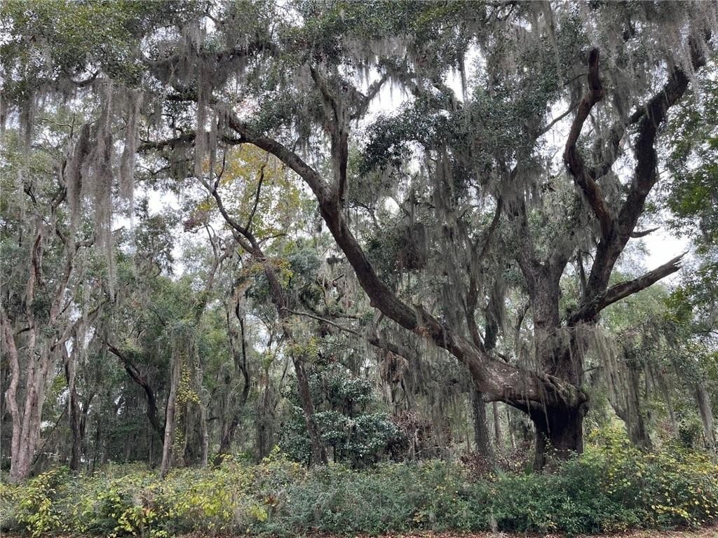 Darien, GA Homesite