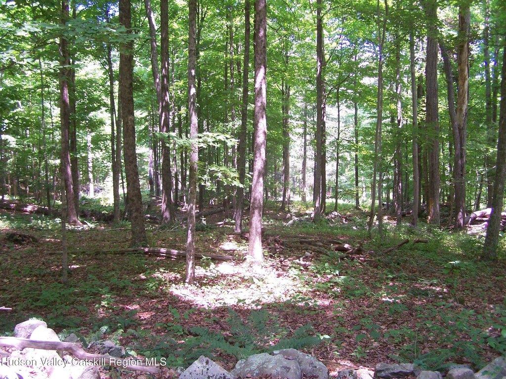 Picture 20