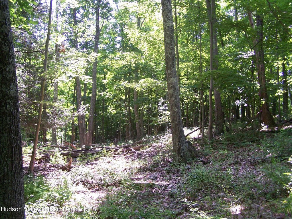 Picture 12