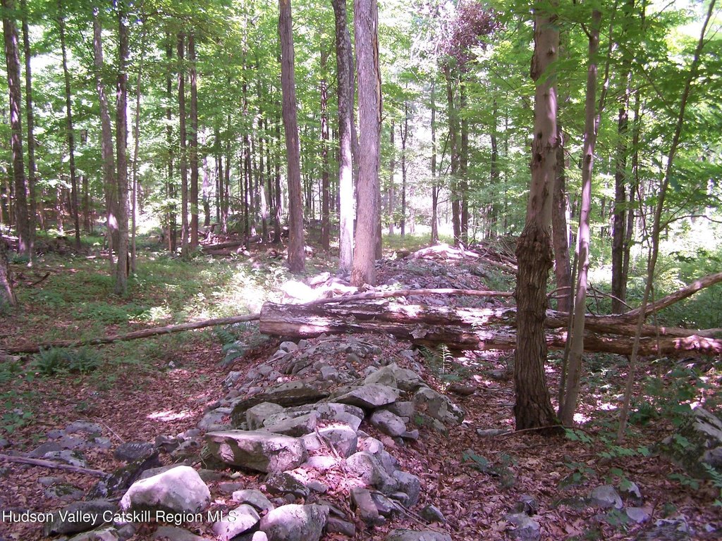 Picture 21