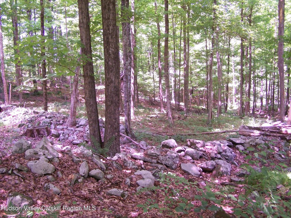 Picture 22