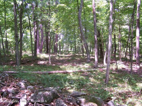 LAND - New Paltz, NY