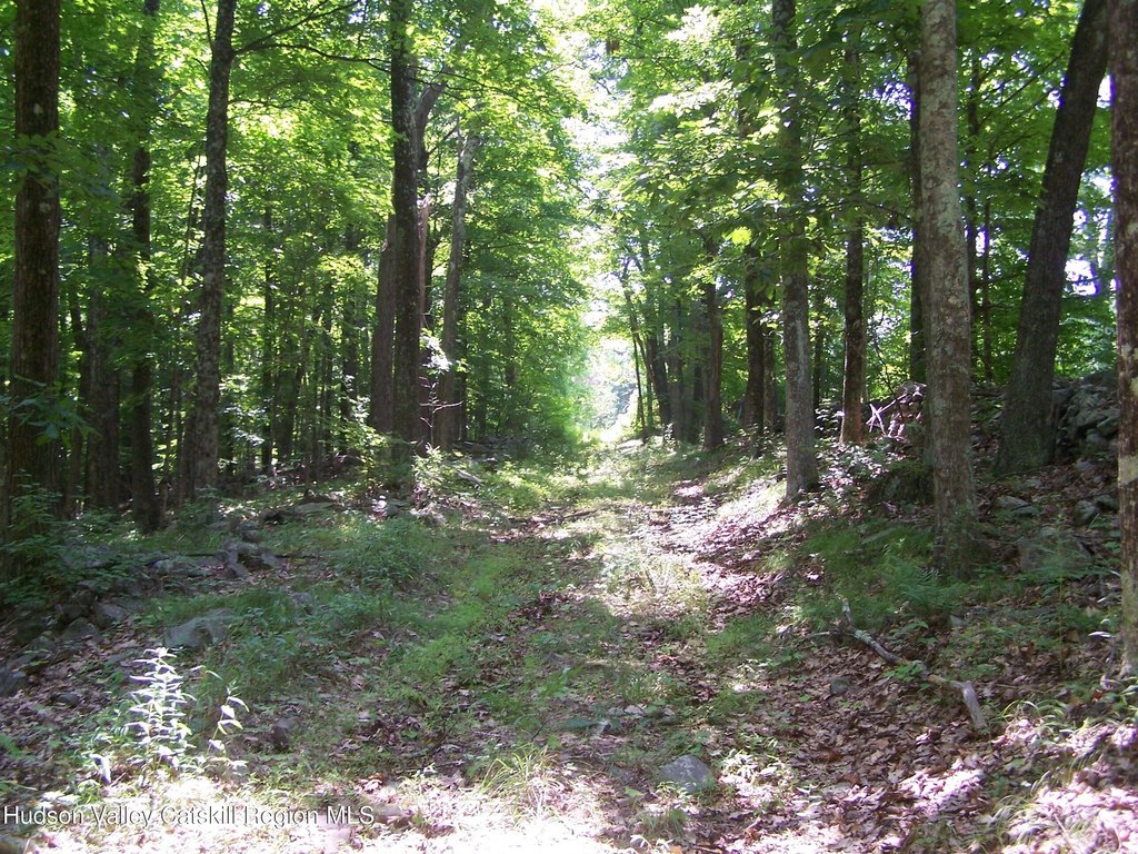 Picture 11