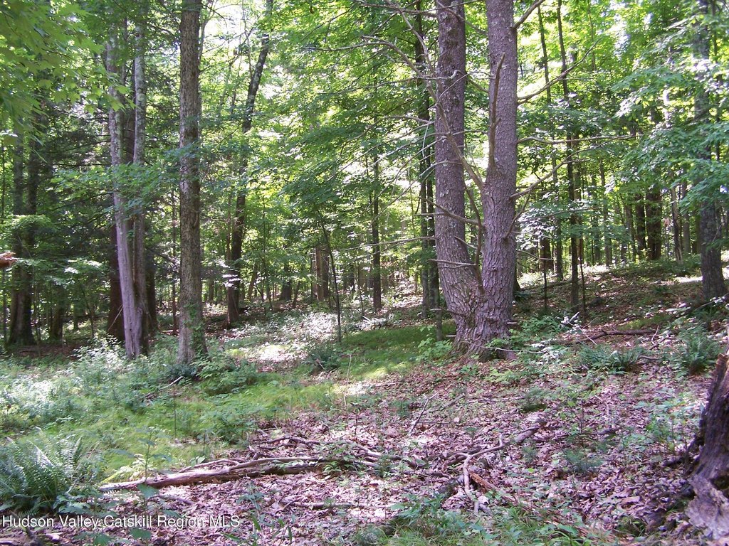 Picture 18
