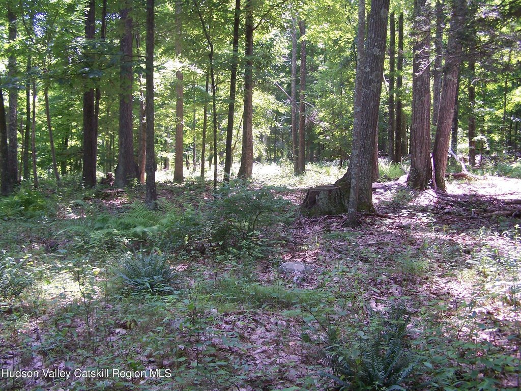 Picture 14
