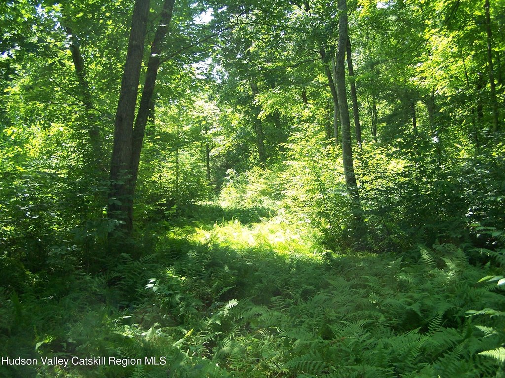 Picture 23