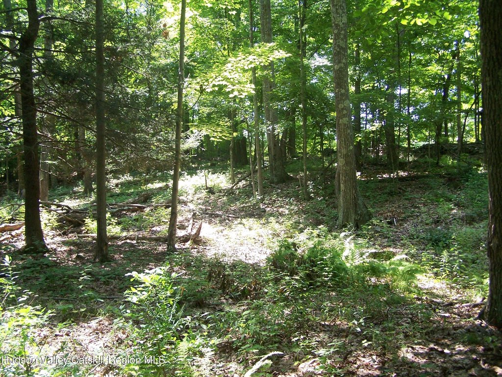Picture 13