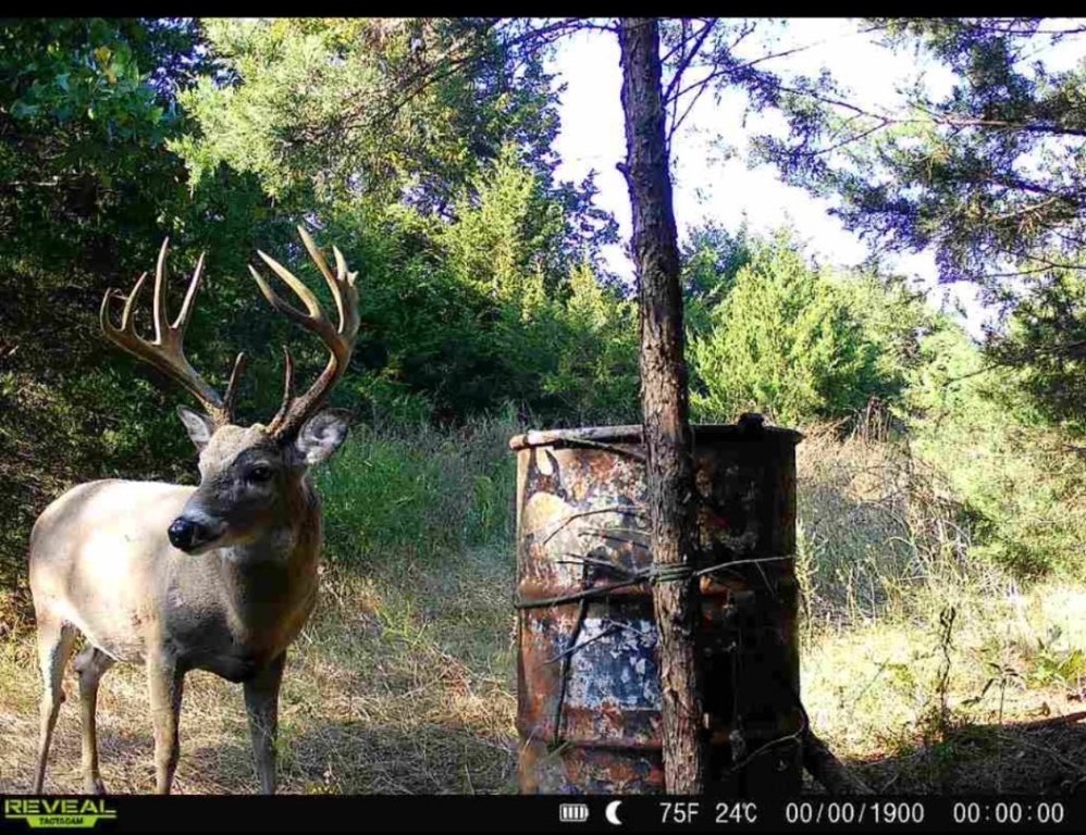Picture 24