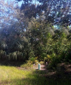 Land, PORT CHARLOTTE, FL