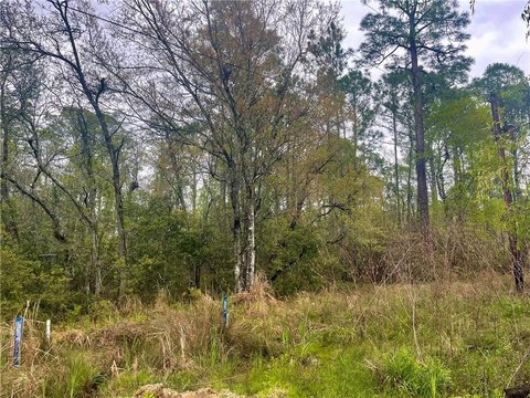 Undeveloped Lots in Coden, Alabama