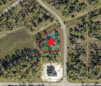 Activity Center Commercial Land