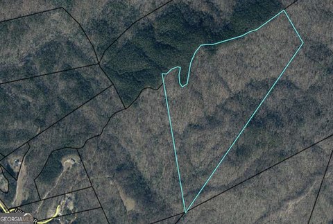 Untouched Land Adjoining Wildlife Area