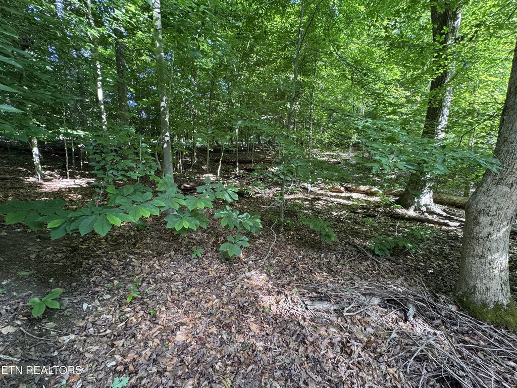 Picture 13