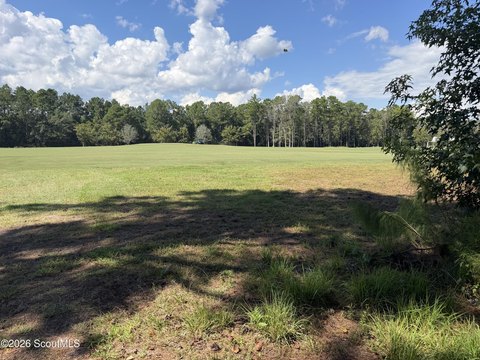 Land, Waverly, GA