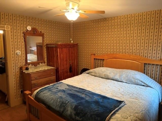 Picture 8