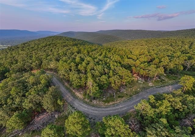 Ouachita Mountain Land for Sale