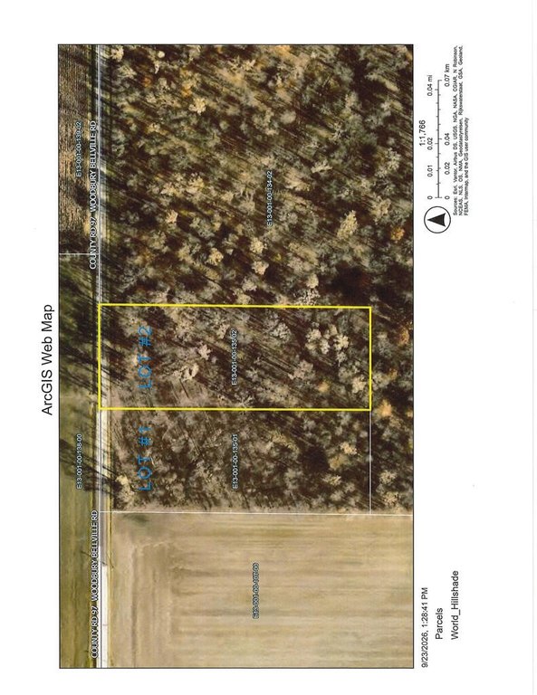 Picture 11
