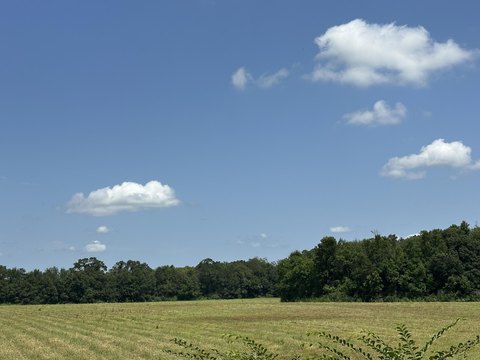 Rural Acreage