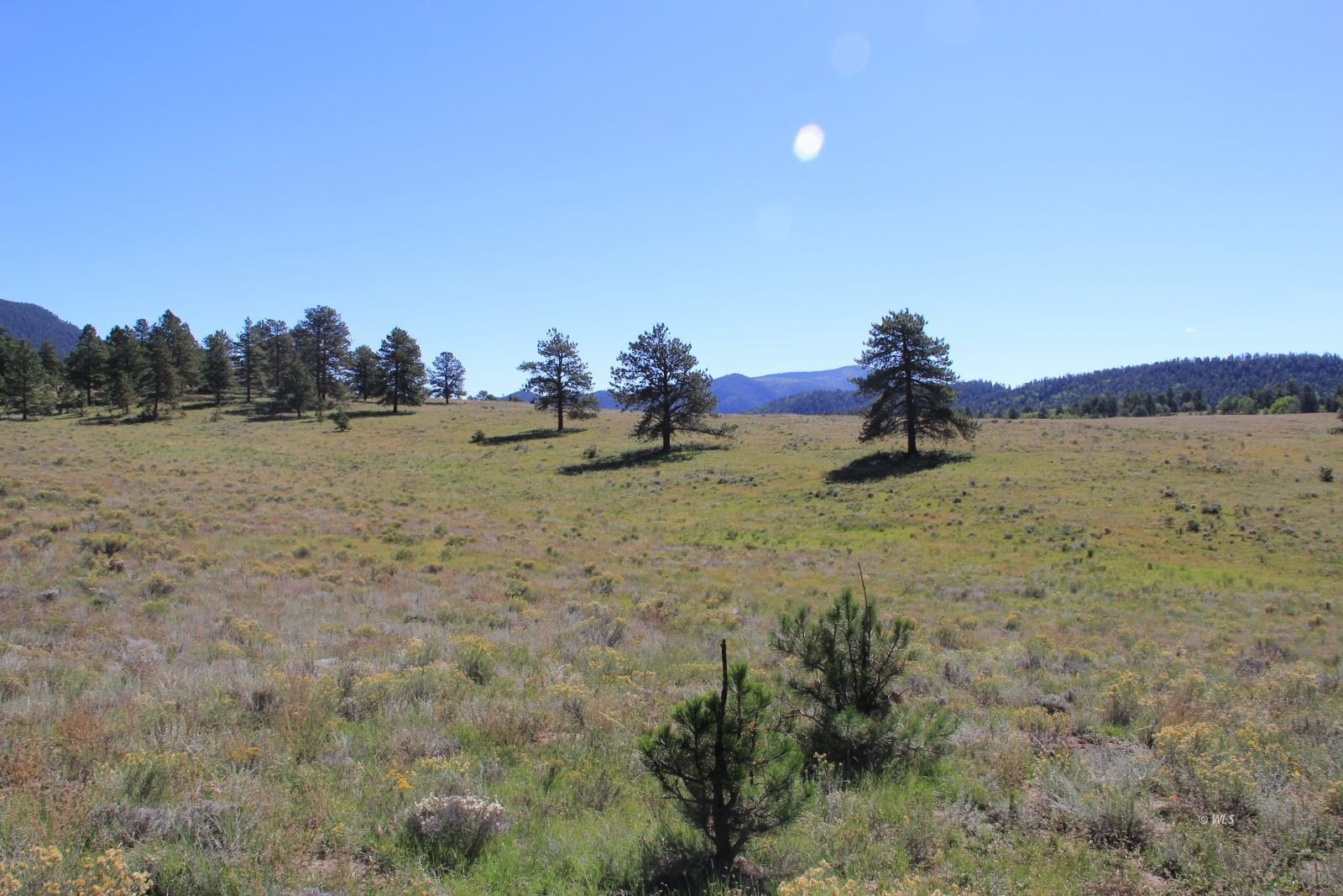 Westcliffe CO Mountain Land