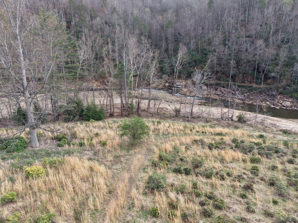 Picture 13