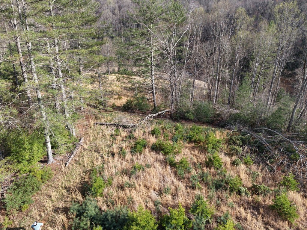 Picture 4