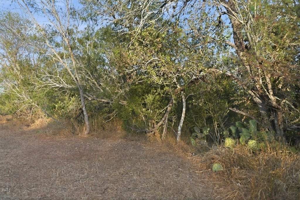 Picture 14