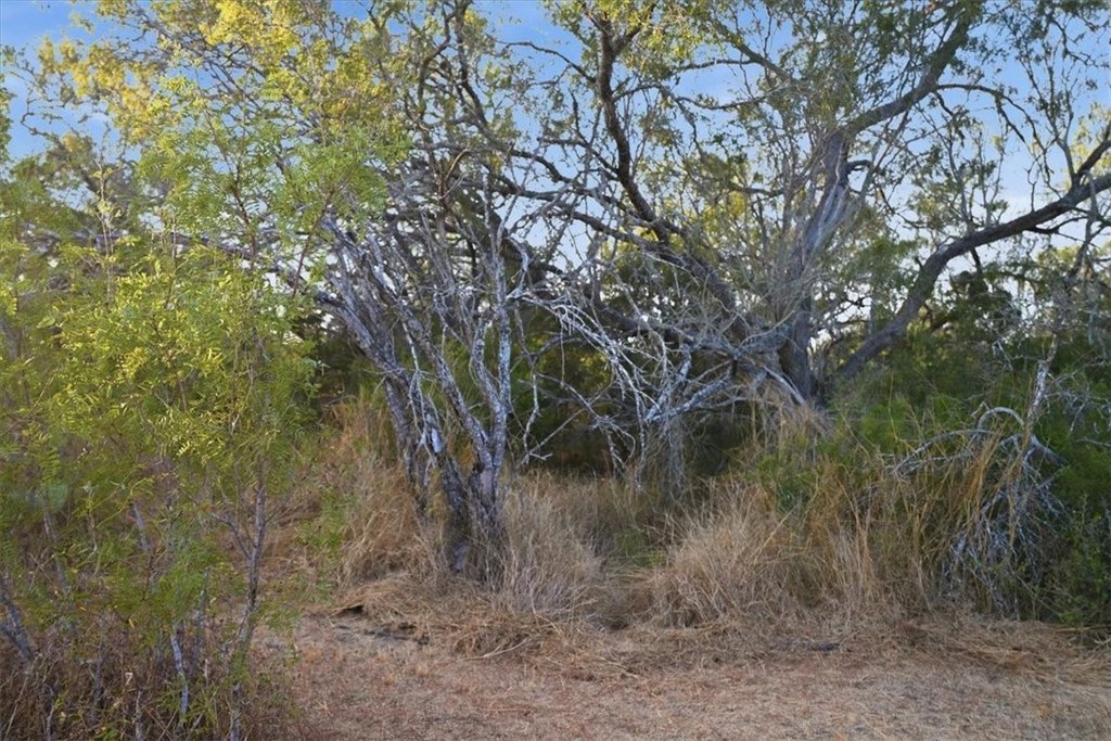 Picture 16