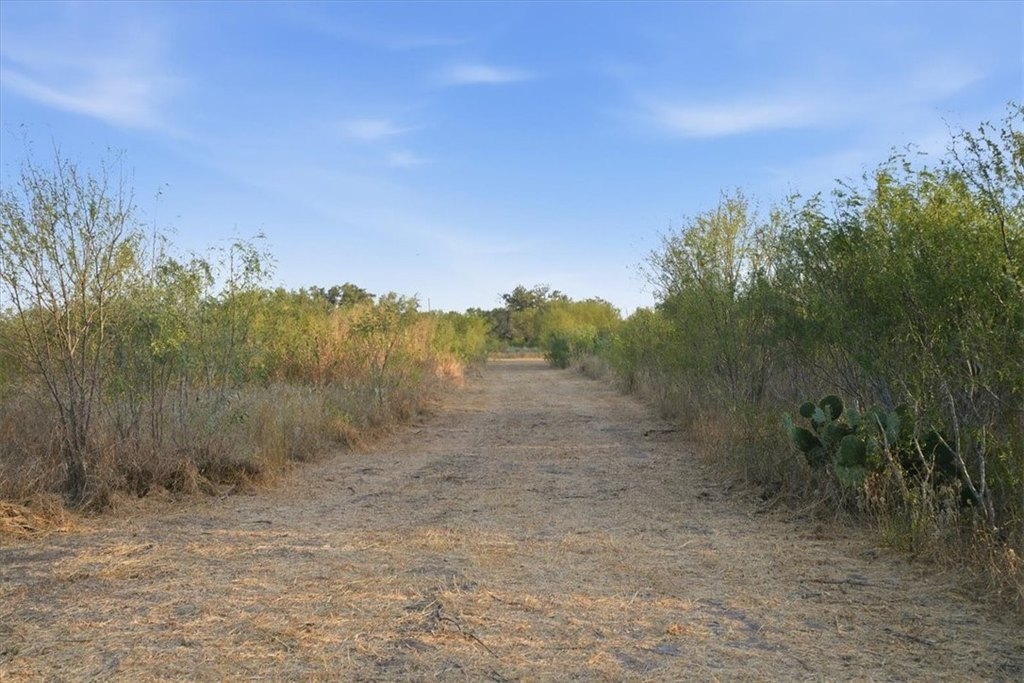Picture 10