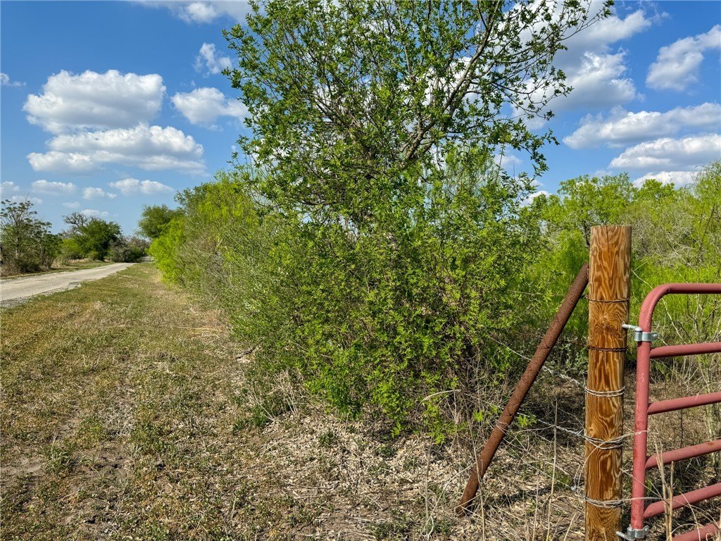 Picture 16