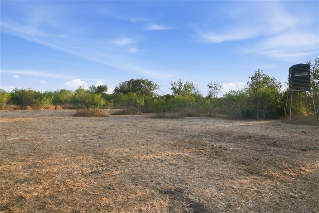 Picture 21