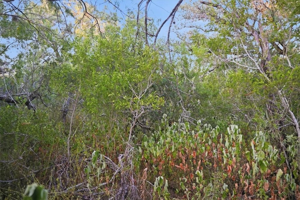 Picture 19