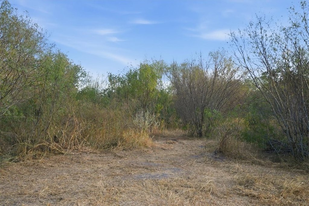 Picture 23