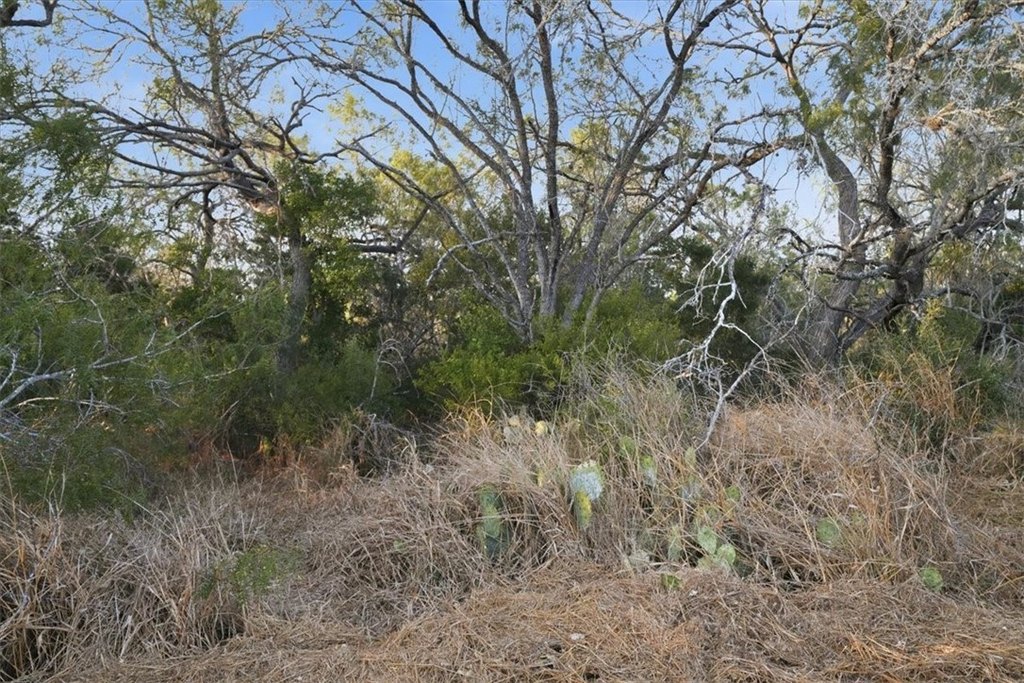 Picture 15