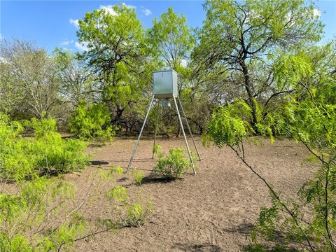 LAND - Beeville, TX