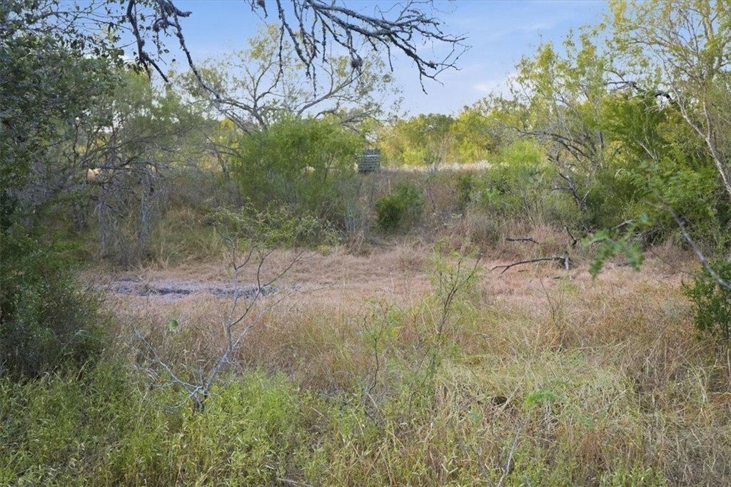 Picture 18