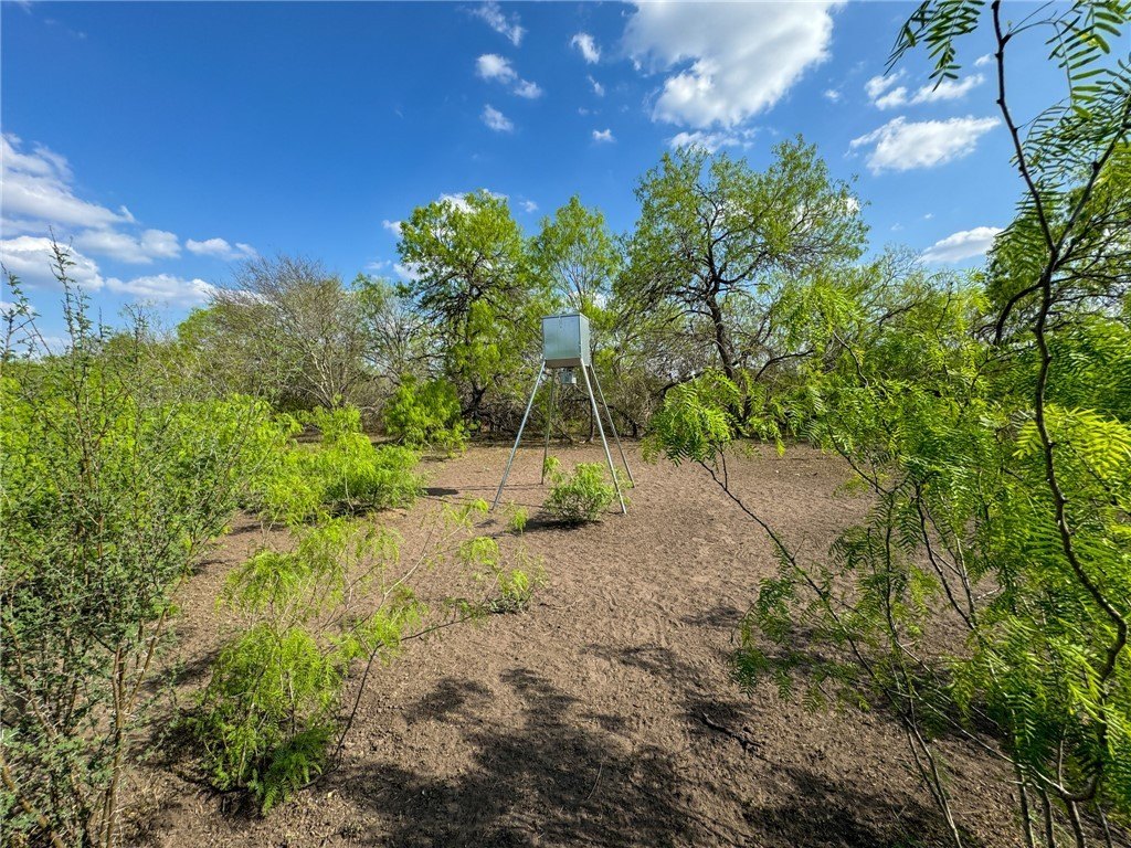 Picture 15