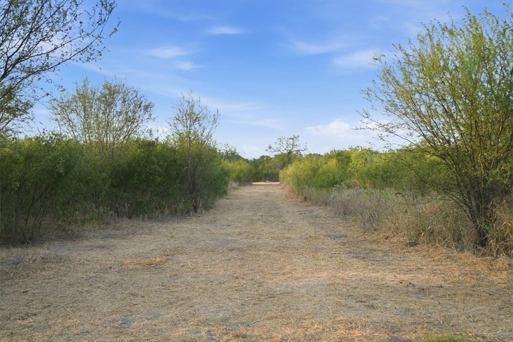 Picture 24