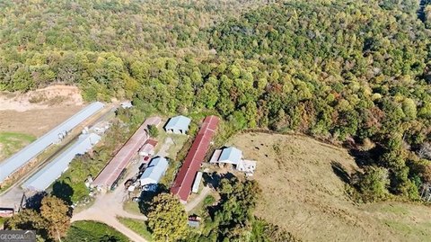 Versatile Land in Dahlonega, Georgia