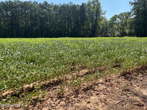 Land, Spring Hope, NC