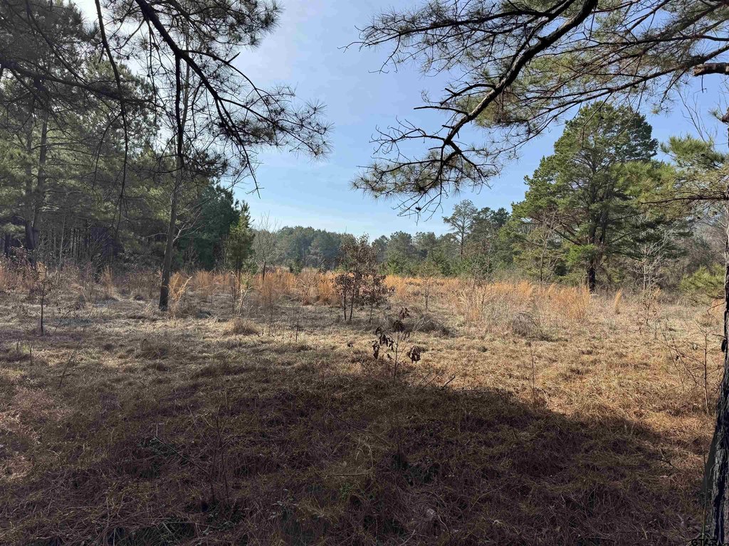 Picture 23