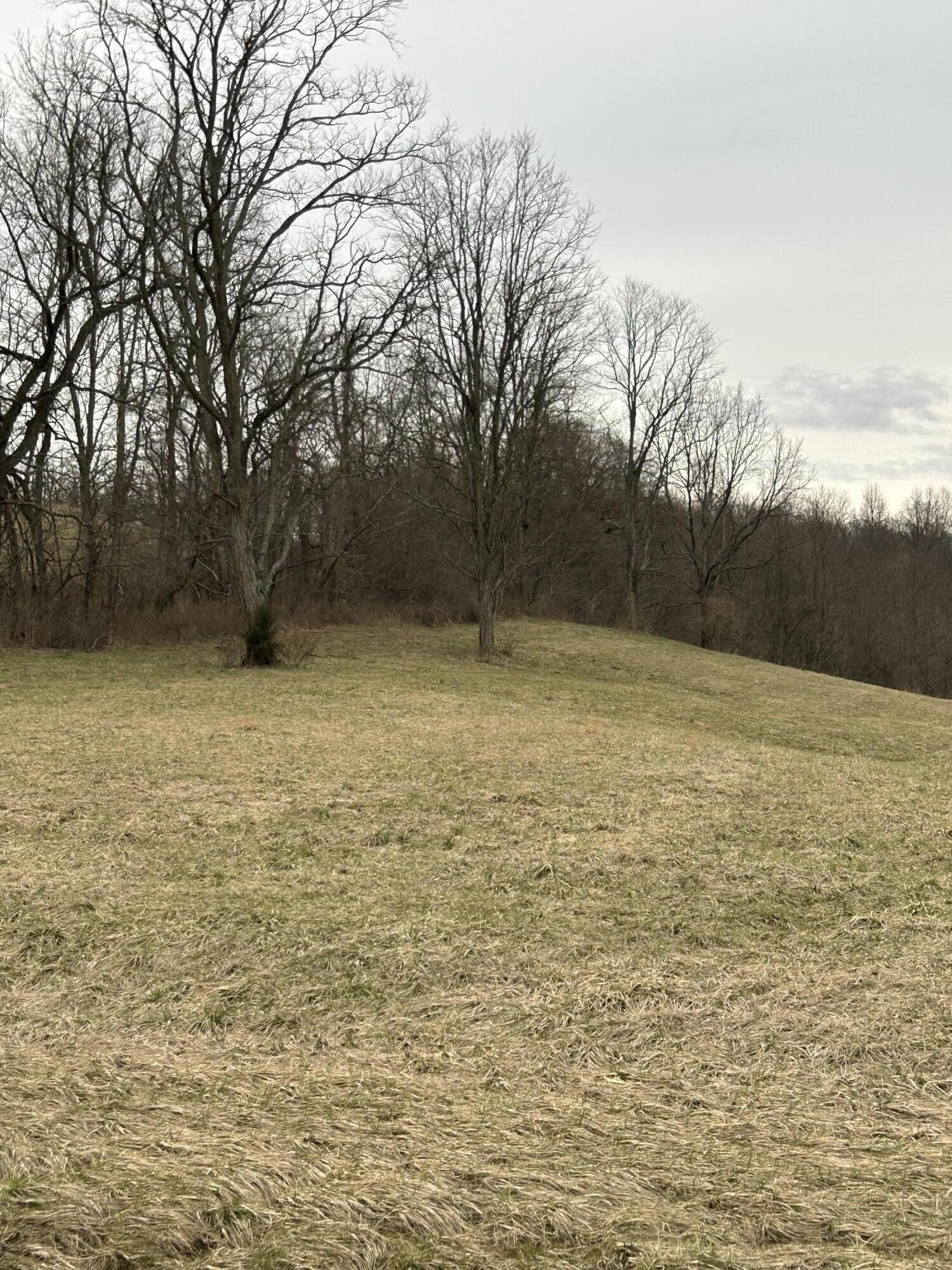 Georgetown Land For Sale