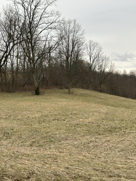 Georgetown, KY Commercial Land