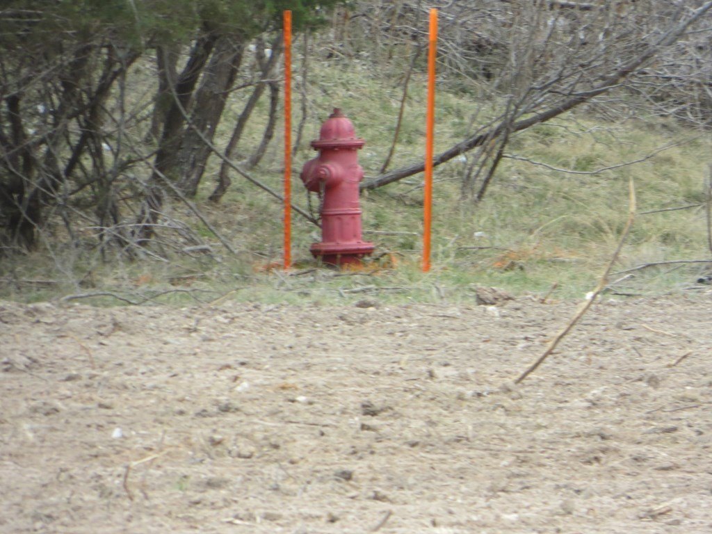 Picture 5